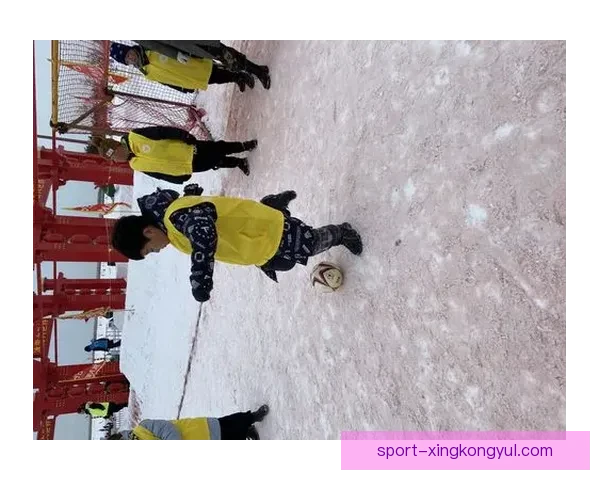 借鉴冰雪经验推进足球改革发展